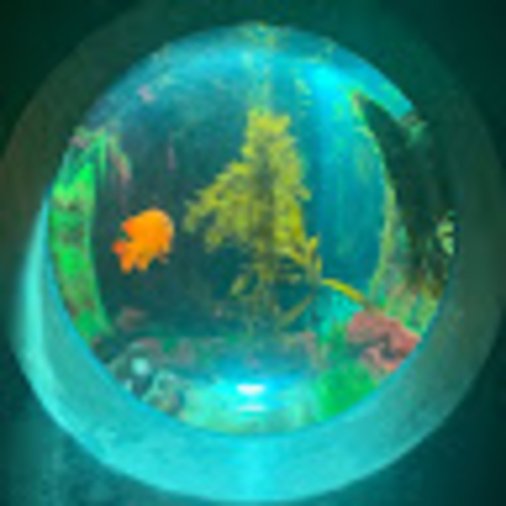 Meet your Posher, Bug